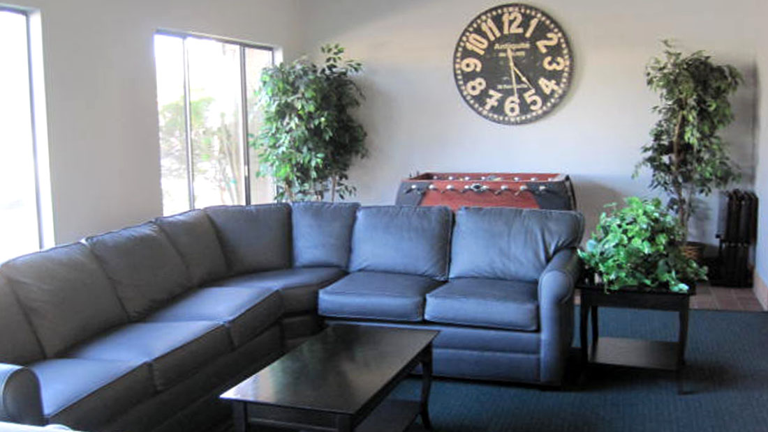 couch with clock on wall in background and indoor plants