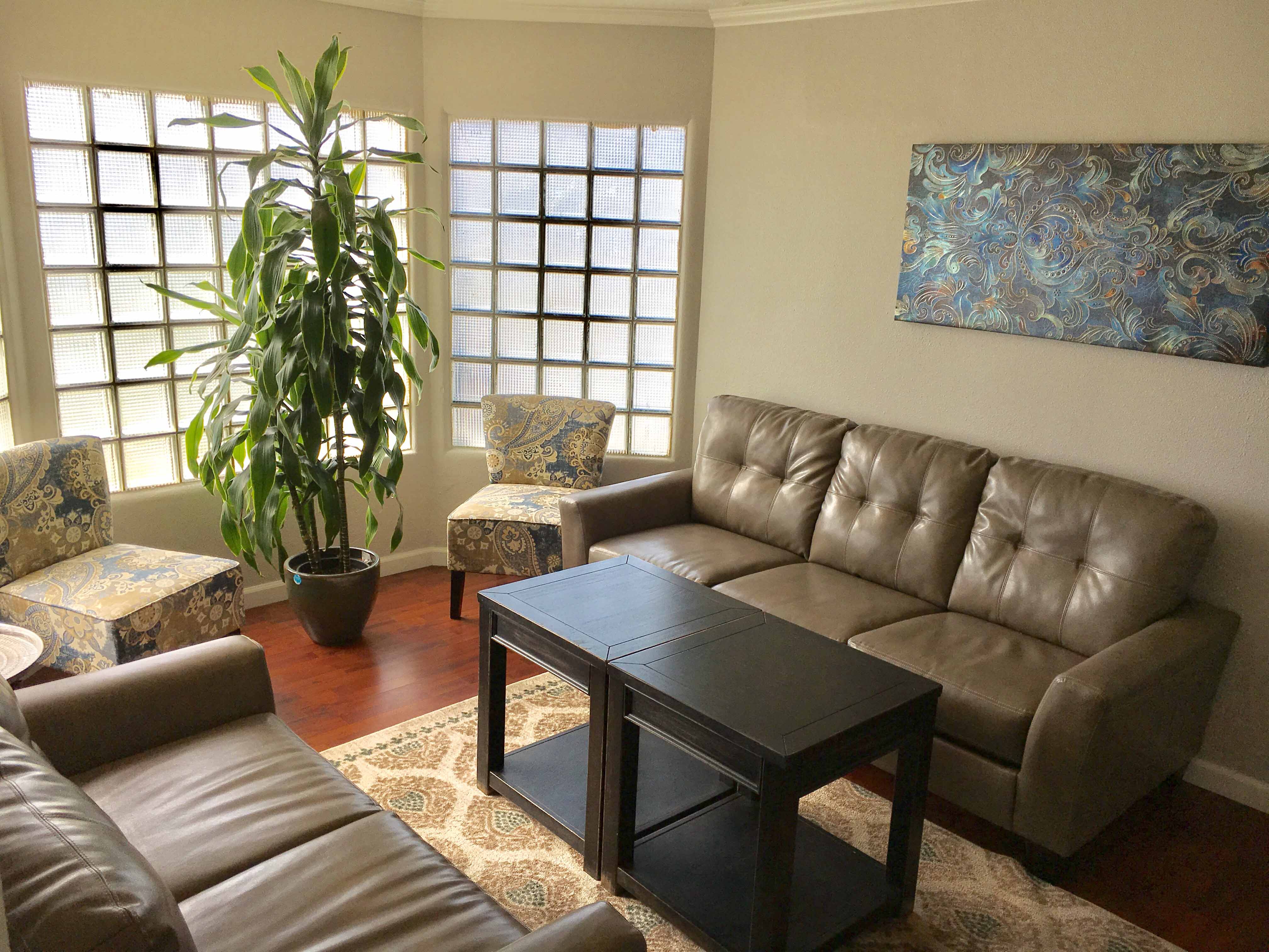 Couches with coffee table and indoor plant in front of windows
